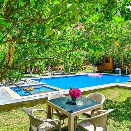 Kaptan Ramo أورتاجا